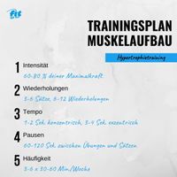 trainingsplan-muskelaufbau,374833_m_xl